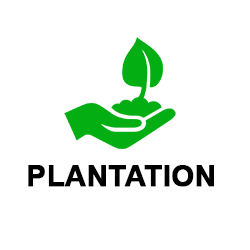 Valliappa Plantation Logo