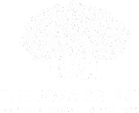 the sona group